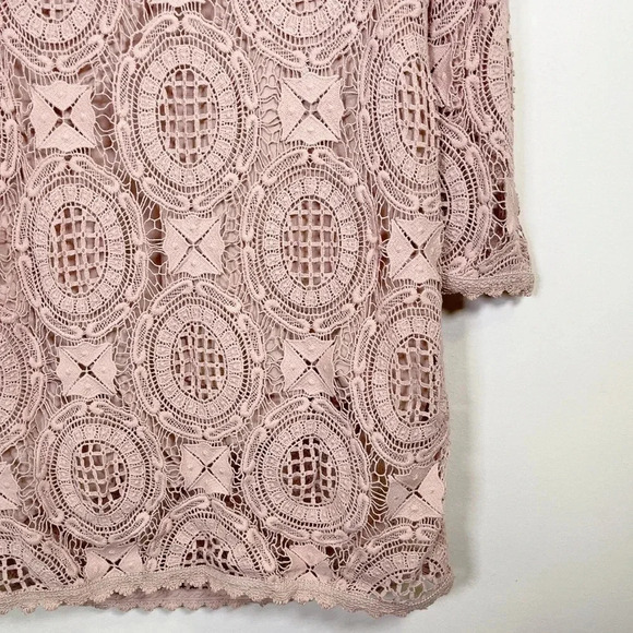 French Connection Lark Rise Crochet Dress  In Dusty Rose Color - Picture 9 of 14